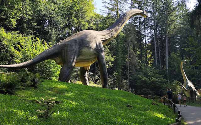 DINO ZOO