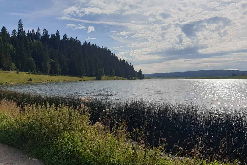 Lac des Taillères